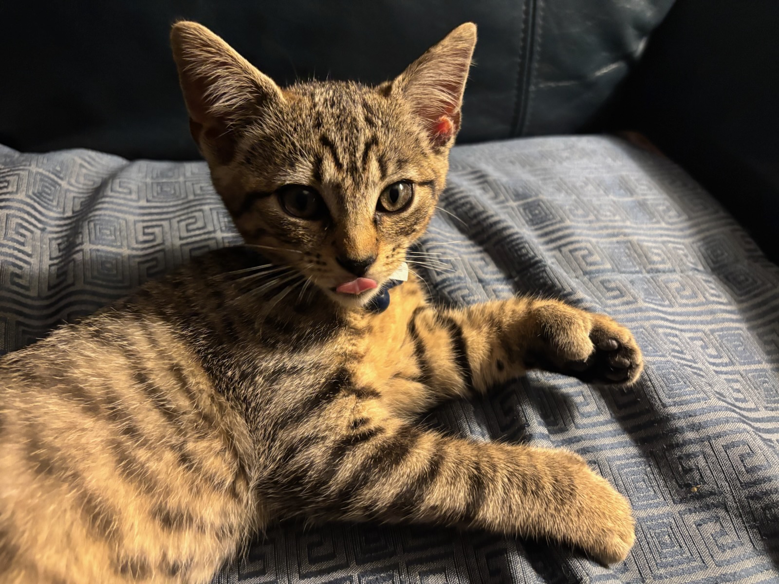 Luna